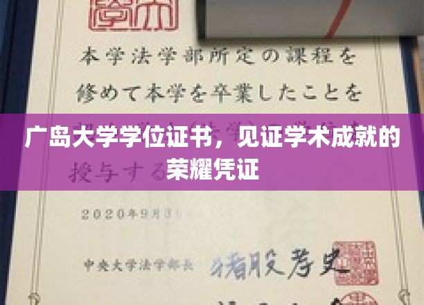 广岛大学荣耀印记，学位证书背后的学术辉煌