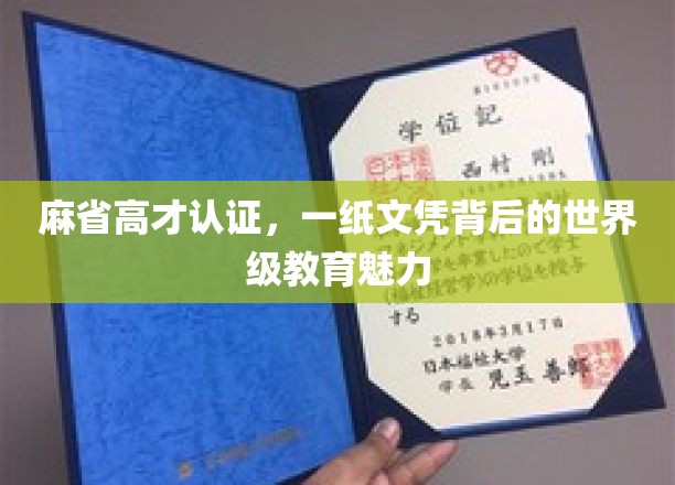 解码麻省精英，文凭背后的全球教育瑰宝