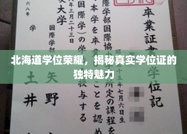 探寻北海道学位证书背后的荣耀与魅力