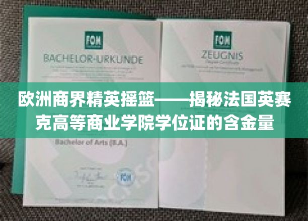 欧洲商界精英摇篮——揭秘法国英赛克高等商业学院学位证的含金量