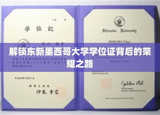解锁东新墨西哥大学学位证背后的荣耀之路