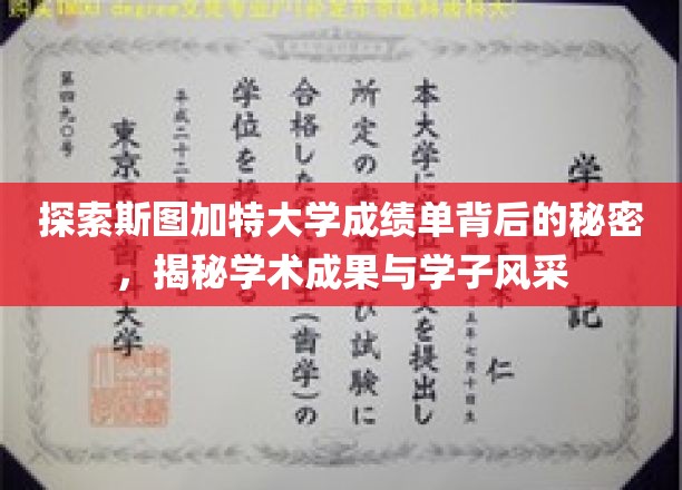 解锁斯图加特大学成绩单中的学术奥秘与学子风采之谜