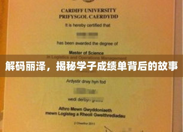 探寻丽泽之光，学子成绩单背后的青春足迹