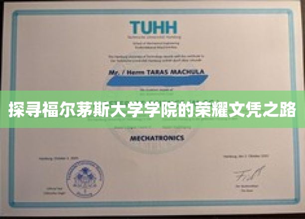 探寻福尔茅斯大学学院的荣耀文凭之路
