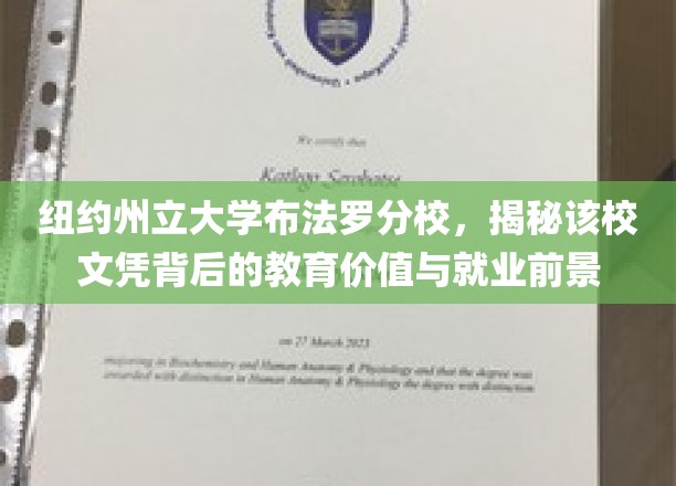 解码纽约州立大学布法罗分校，文凭背后的教育真谛与职场未来