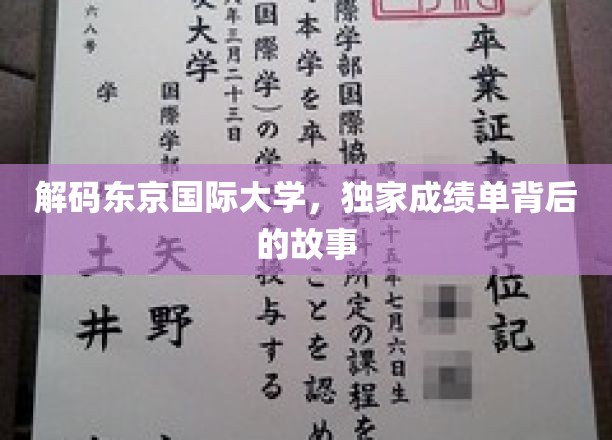 解码东京国际大学，独家成绩单背后的故事