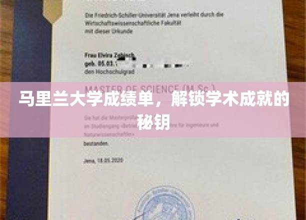 马里兰大学成绩单，开启学术辉煌之门