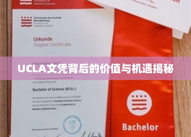 UCLA文凭背后的价值与机遇揭秘