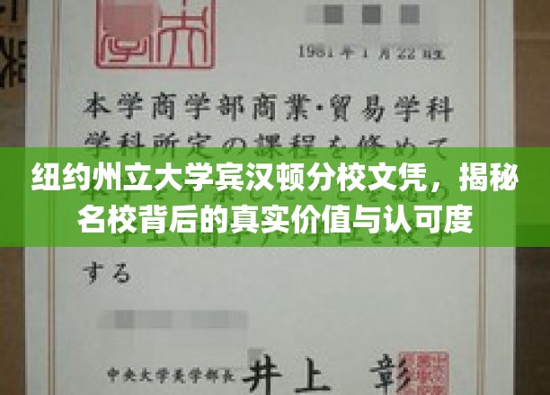 纽约州立大学宾汉顿分校文凭，探索名校光环下的实际影响力与全球认可度