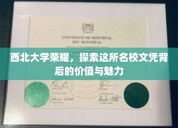 西北大学之光，揭秘文凭背后的辉煌价值与独特魅力