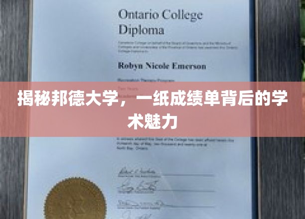 邦德大学成绩单，探寻学术殿堂的神秘魅力