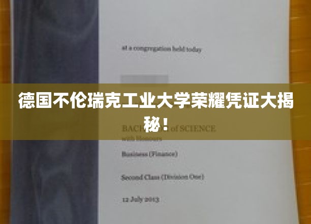 揭开德国不伦瑞克工业大学荣耀背后的神秘证书之谜