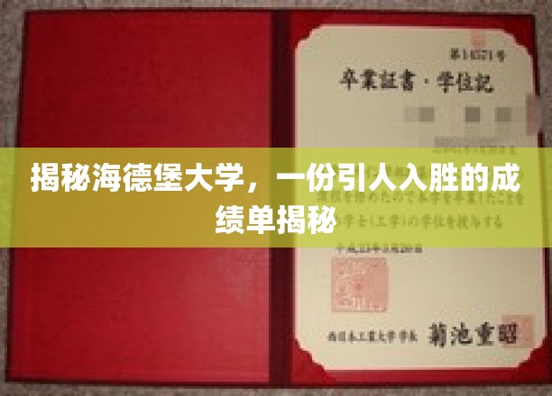探寻海德堡大学卓越成就，一纸闪耀的成绩单背后的故事