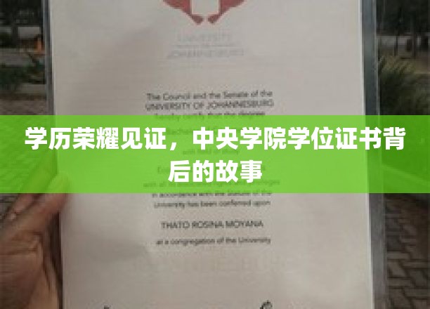 学位荣耀之旅，揭开中央学院证书背后的传奇故事