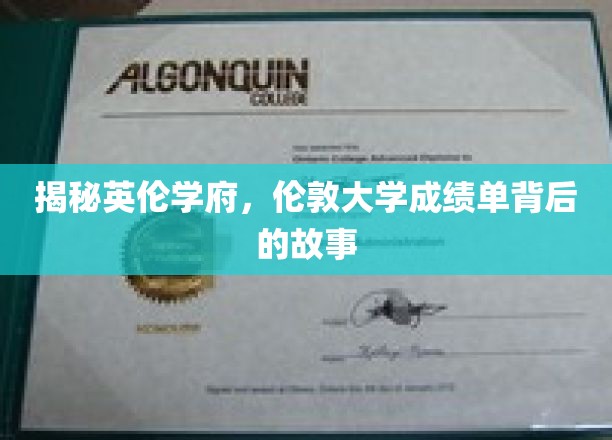 探索伦敦大学成绩单，英伦学府的秘密档案