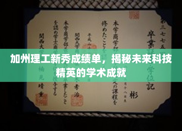 解码加州理工新星的学术巅峰，未来科技精英的耀眼成绩单
