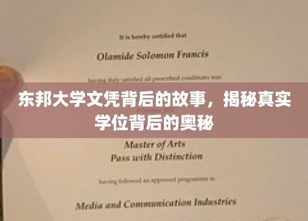 东邦大学文凭之谜，探寻学位背后的不为人知真相