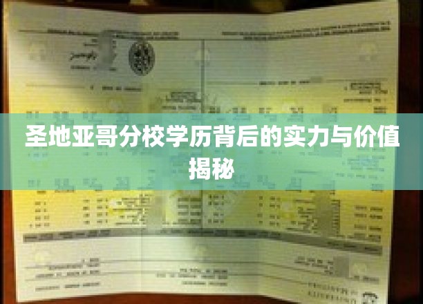 解码圣地亚哥分校，学历背后的非凡力量与无限可能
