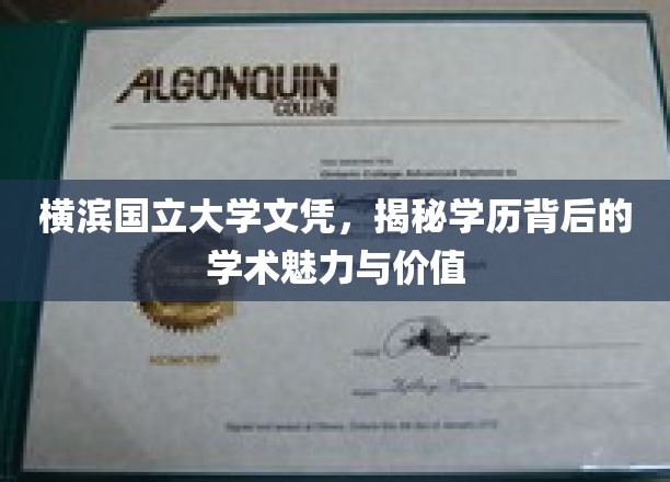 探寻横滨国立大学文凭，揭秘学术殿堂的非凡魅力与珍贵价值