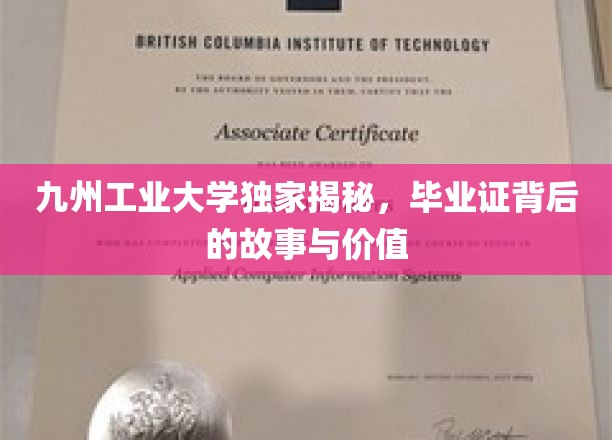 揭开毕业证的面纱，九州工业大学揭秘证书背后的传奇与价值