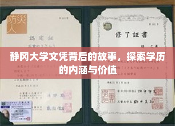 静冈大学文凭背后的故事，探索学历的内涵与价值