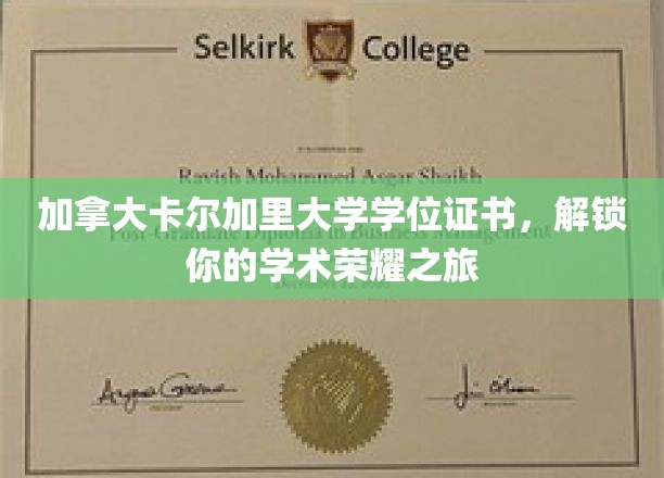 解锁荣耀，加拿大卡尔加里大学学位证书，成就非凡学术之旅