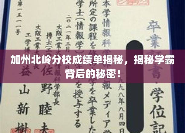 加州北岭分校成绩单揭秘，揭秘学霸背后的秘密！