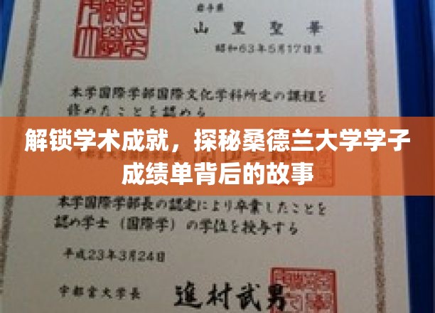 解锁学术成就，探秘桑德兰大学学子成绩单背后的故事
