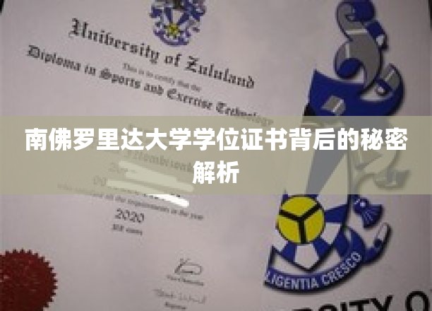 揭秘南佛罗里达大学学位证书的神秘面纱