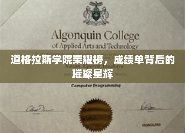 道格拉斯学院荣耀榜，成绩单背后的璀璨星辉