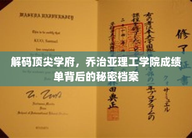 揭秘乔治亚理工学院，探寻精英学子成绩单背后的非凡故事