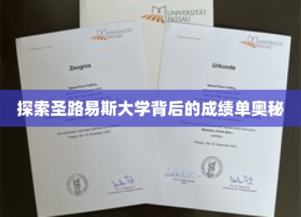 揭秘圣路易斯大学卓越背后的神秘力量