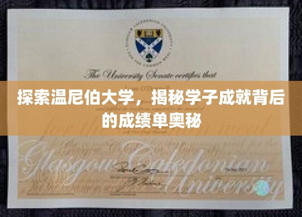 解码温尼伯大学，学子辉煌成就的幕后成绩单密码