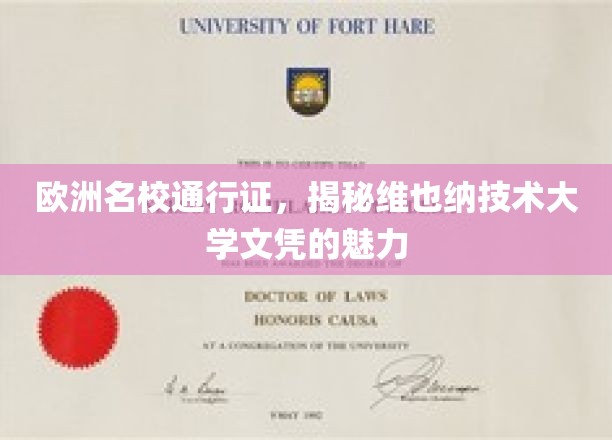 解锁欧洲精英教育，维也纳技术大学文凭的非凡吸引力