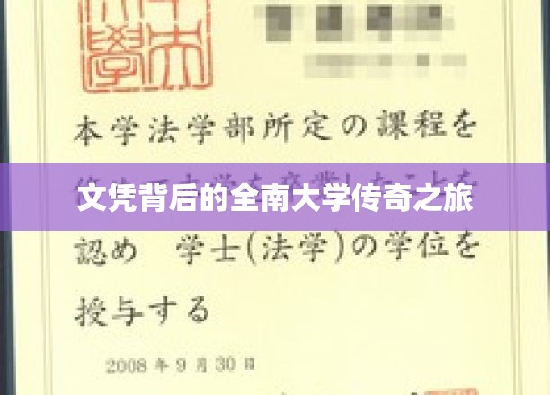 文凭背后的全南大学传奇之旅