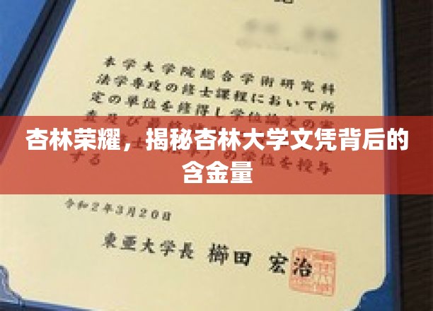 杏林精英养成记，一纸杏林大学文凭，价值几何？