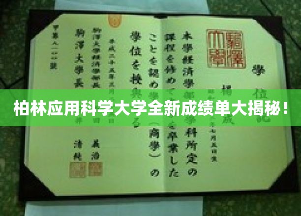 柏林应用科学大学全新成绩单大揭秘！
