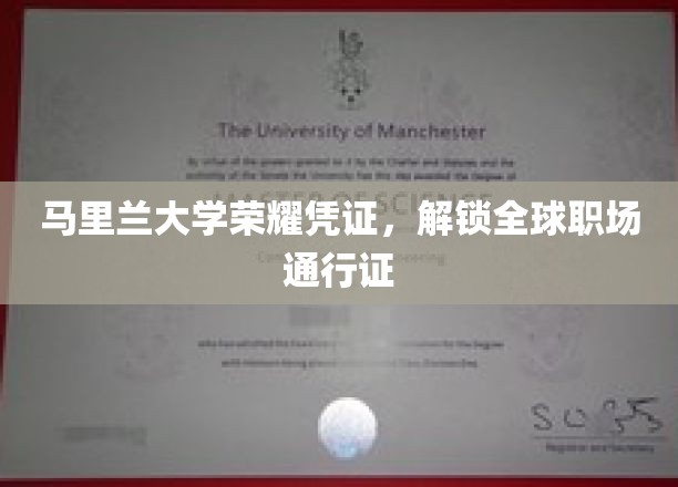 马里兰大学荣耀凭证，解锁全球职场通行证