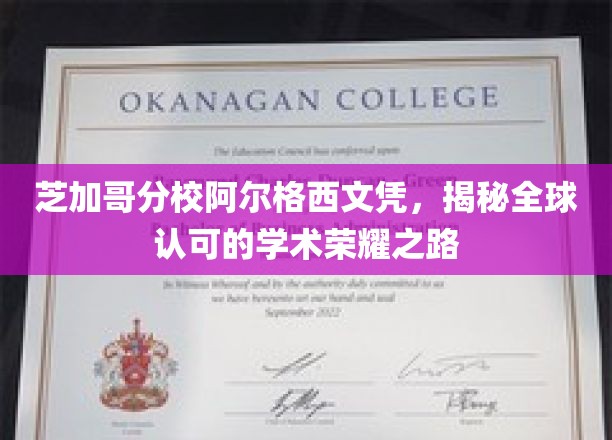 芝加哥分校阿尔格西文凭，开启国际认可的学术卓越之旅