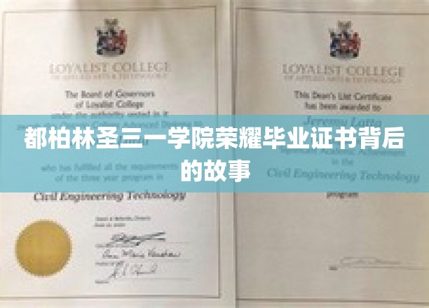 揭开都柏林圣三一学院毕业证书荣耀背后的传奇篇章