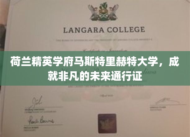 解锁未来，马斯特里赫特大学铸就非凡学术之旅