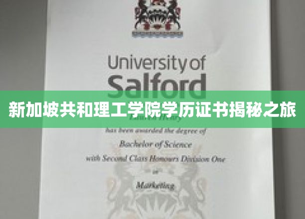 探索新加坡共和理工学院证书背后的故事