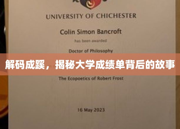 解码成蹊，探寻大学成绩单背后的精彩故事