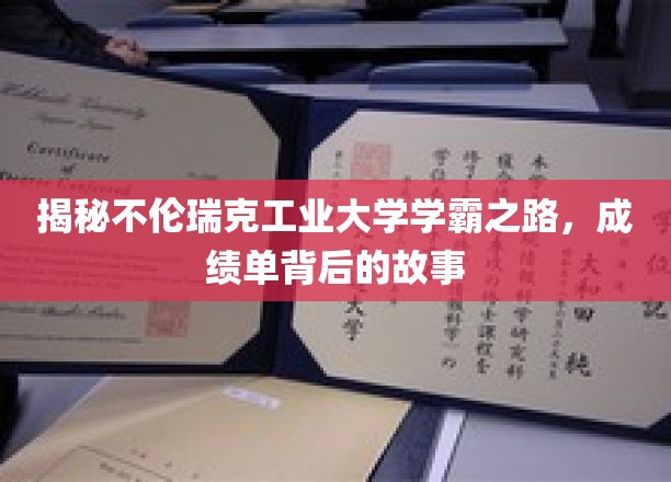 揭秘学霸秘籍，不伦瑞克工业大学学霸成长记
