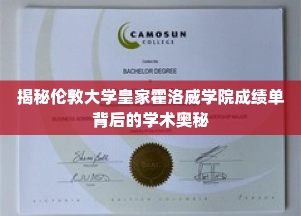 揭秘伦敦大学皇家霍洛威学院成绩单背后的学术奥秘