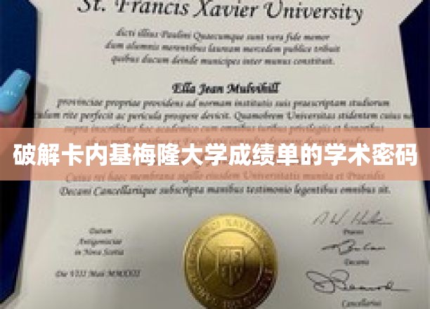 解码卡梅隆成绩单，揭开顶尖学府的学术奥秘