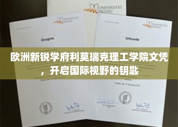 解锁全球视野，利莫瑞克理工学院文凭，欧洲新锐学府的通行证