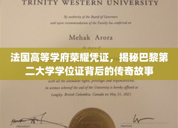 法国高等学府荣耀凭证，揭秘巴黎第二大学学位证背后的传奇故事