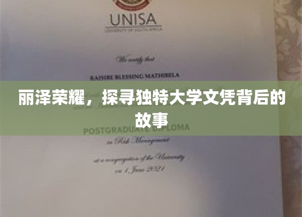 解码丽泽传奇，揭秘独特大学文凭背后的辉煌历程