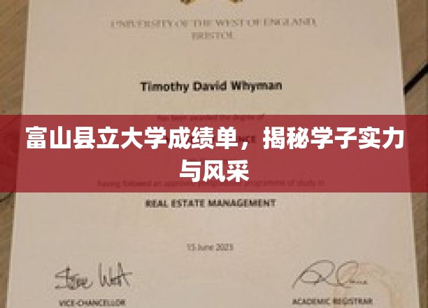 富山县立大学成绩单，展现学子实力与风采